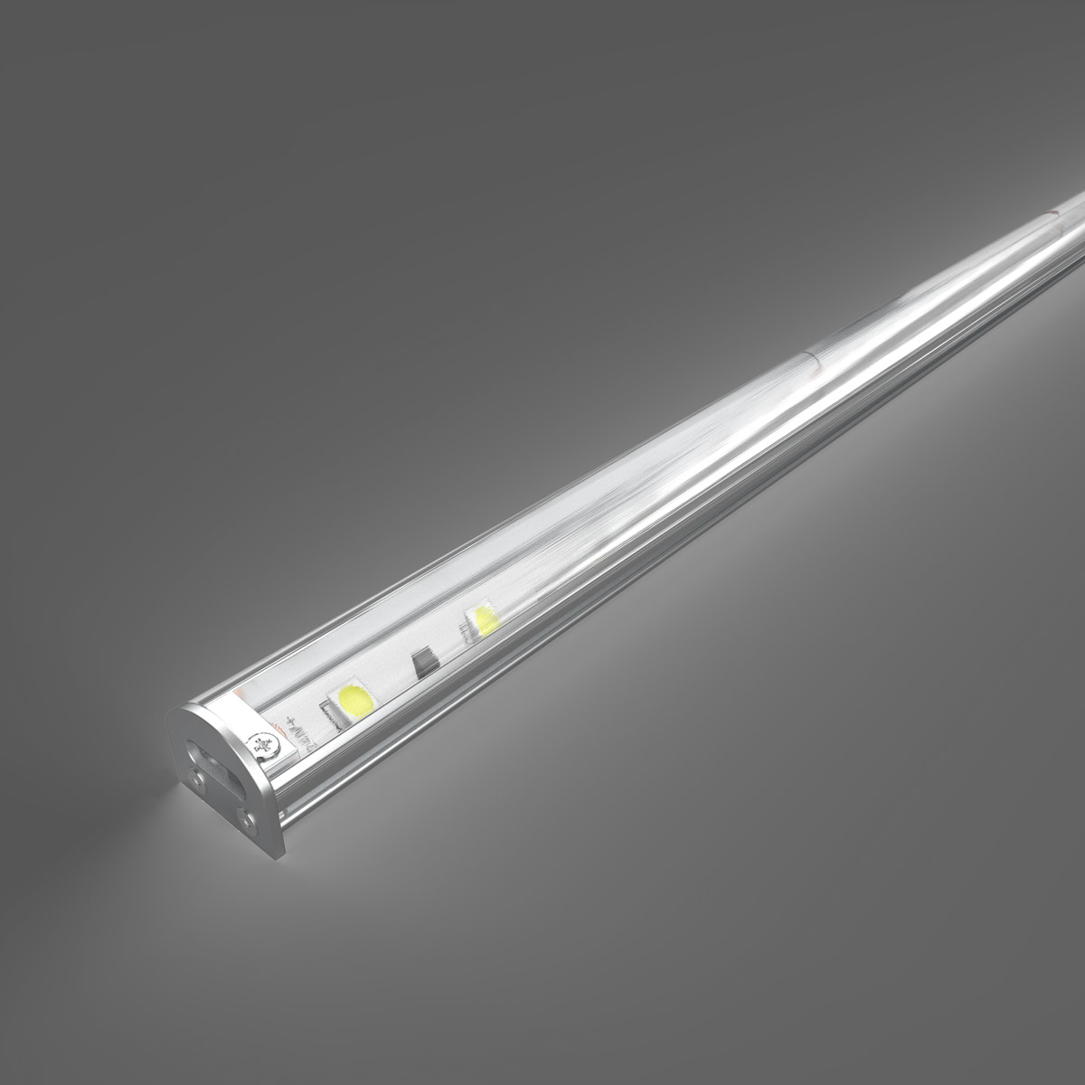 PRODUCTS Lighting Accents